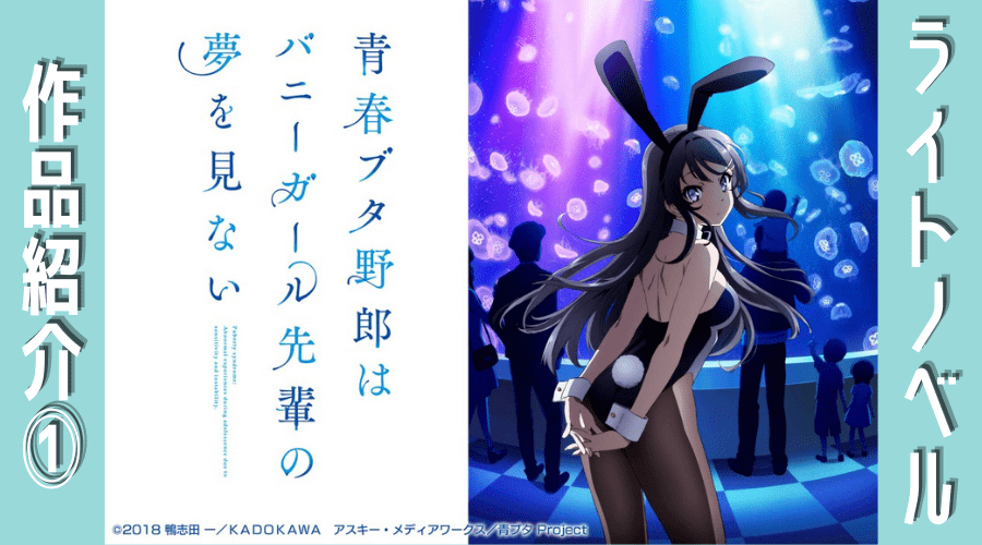 青ブタ ってどんな作品 あらすじや魅力 オススメのサブスクを紹介 ブック部